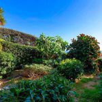 33049 Garten
