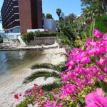DSC00109