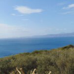DSC00575