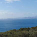 DSC00581