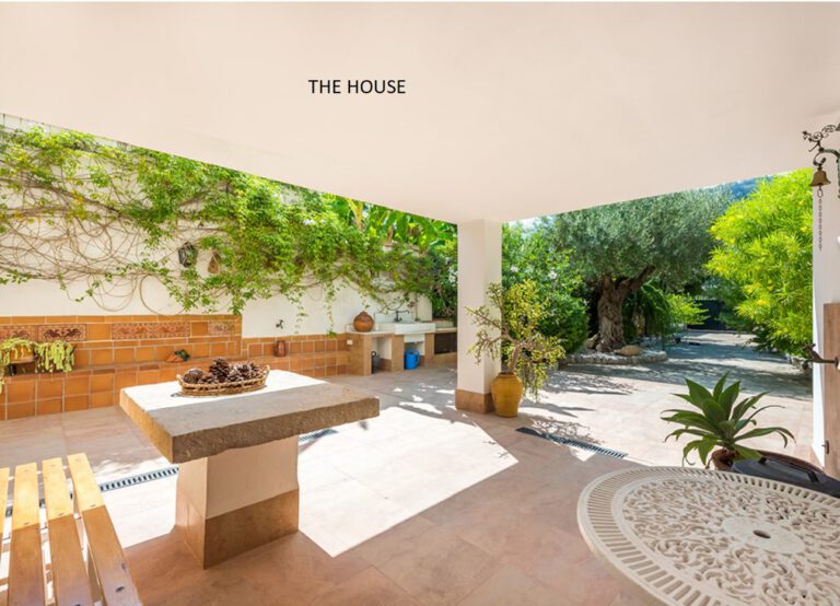 PATIO TRASERO