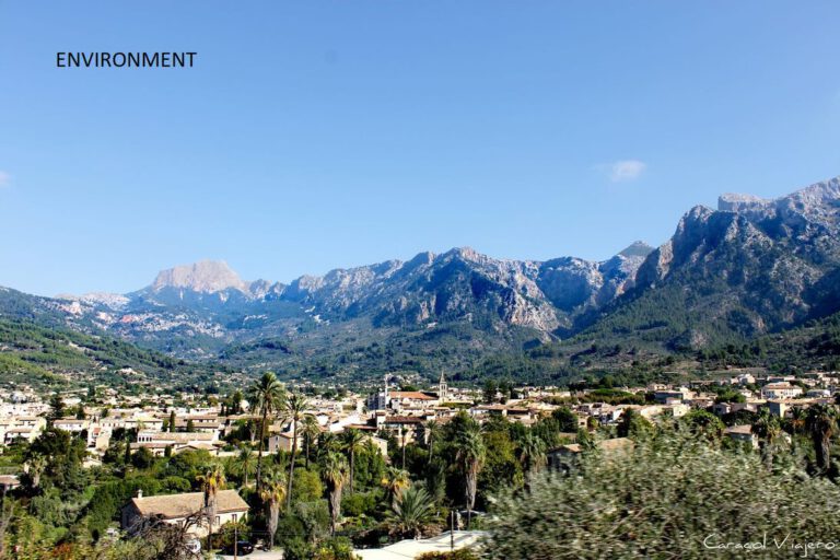 soller