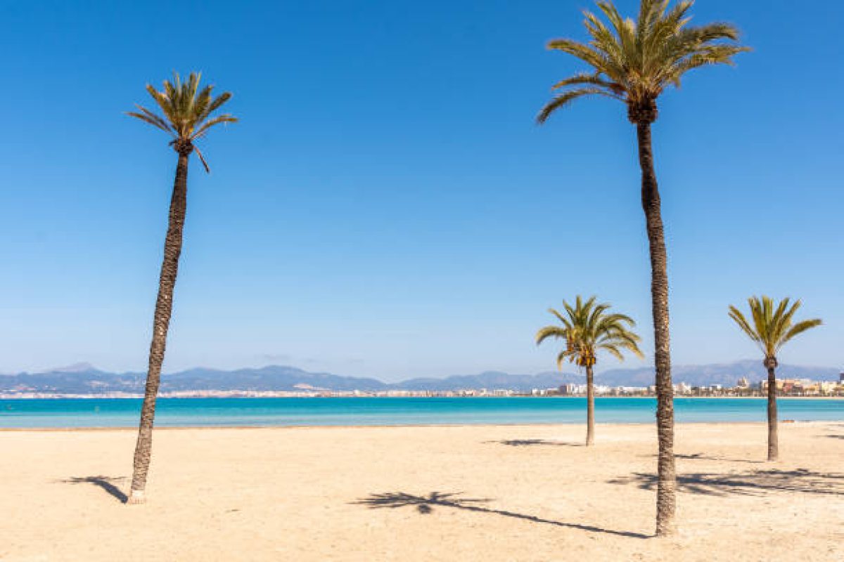 Tall palm trees, golden sand and turquoise water. No people.